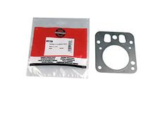 Briggs & Stratton Joint de Culasse.