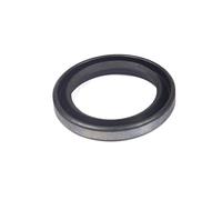 Briggs & Stratton Joint d'huile 294606S remplace 294606