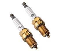 Briggs & Stratton (Lot DE 2 Bougie d'allumage Platine pour Moteurs OHV 5066 K # 496202-2PK