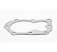 Briggs & Stratton Magneto Power 698717 Joint de Culasse de Rechange pour Les modèles 272536 et 272170