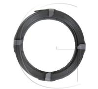 Briggs & Stratton Ressort Lanceur 490179 294303