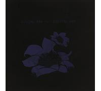 Bright Eyes - Ash in a Digital Urn