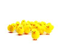 Bright Ideas Lot de 36 mini poussins duveteux jaunes de 3 cm, parfaits pour les travaux manuels de Pâques, les loisirs créatifs, la décoration de fête et les décorations de gâteaux