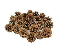Bright Ideas Pommes de pin naturelles, Bois, 4-6cm