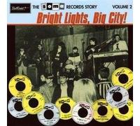 Bright Light, Big City V2
