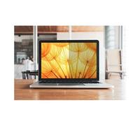 Bright Screen Privacy Filter - Filtre de confidentialité pour ordinateur portable - amovible - retournement - 16" - noir - pour Apple MacBook Pro (16