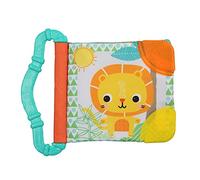 Bright Starts Teethe & Readtoy Multicolore