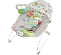 Bright Starts Transat Happy Safari - Avec vibrations apaisantes, musique et Taggies - Multicolore