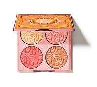 Brightening CC Palette Sunny Flash