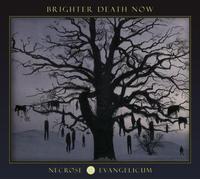 Brighter Death Now - Necrose Evangelicum (Lim.ed.-Pic-Disc) [Vinyl LP]