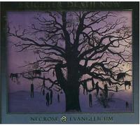 Brighter Death Now - Necrose Evangelium