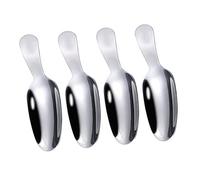 BRIGHTFUFU 4 Pièces Cuillère à Dessert Acier Inoxydable Cuillères à Mesurer pour Thé Épices et Crèmes Glacées et Faciles à pour Cuisine Bureau