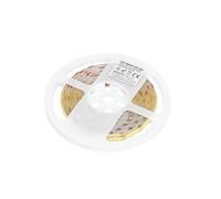 Brightium Bande LED de 5 m, puce COB 6500 K, IP20, idéale pour l'éclairage décoratif et les environnements intérieurs.