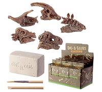 Brightium Kit de creusement - Kit éducatif avec Outils pour Creuser, Comprend des crânes de Dinosaure, des matériaux résistants et Un Design sûr pour Les Enfants