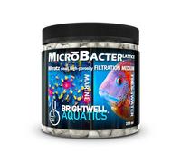 Brightwell Aquatics MicroBacter Lattice-Nitratz Média de filtration naturel réduisant le nitrate pour tous les aquariums, 250 ml