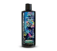 Brightwell Aquatics MicroBacter Start XLM - Bactéries nitrifiantes d'eau douce concentrées - Démarrage rapide des niveaux de microbes et filtrage de l'eau - Traitements de l'eau d'aquarium, 125 ml