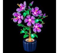 BRIKSMAX Kit d’éclairage à LED pour Lego 10372 Hibiscus - Compatible with The Botanical Collection Blocs de Construction Modèle- Pas inclure l’Ensemble Lego