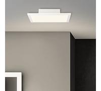 Brilliant Buffi Panneau de montage LED Blanc 30 x 30 cm