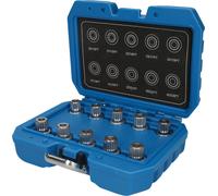 Brilliant Tools Assortiment de systèmes antivols de roue pour BMW, 10 pcs