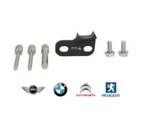 Brilliant Tools Brilliant Tools Jeu d’outils de réglage de moteur pour MINI, Citroën, Peugeot 1.6L Diesel Quantité:1