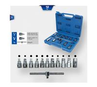 Brilliant Tools Brilliant Tools Jeu de douilles pour vidange d’huile, 12 pcs Quantité:1