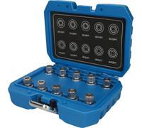 BRILLIANT TOOLS BT691290 Assortiment de systèmes antivols de roue pour BMW, 10 pcs [Powered by KS TOOLS]
