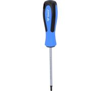Brilliant Tools Brilliant Tools Tournevis TORX, T20 x 100 mm Quantité:1