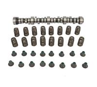 Brilluxa Kit d'arbre à cames, compatible avec les moteurs de camion 4.8L 5.3L 6.0L, BTR31824100 CAM, kit de ressorts de soupape de phase 3 assemblage de mise à niveau d'arbre à cames