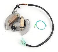 Brilluxa Stator, bobine magnétique, stator de charge compatible avec 200 YFS200 1997-2002, remplacement du système de charge d'allumage ATV