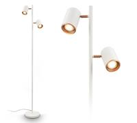 BRILONER - Lampadaire avec interrupteur sur le câble, têtes de spots orientables, 2xGU10 douille, lampadaire sur salon, lampe sur pied, lampadaire sur pied, 22x159,5cm, gris clair-coffee