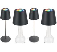 Briloner - Lampe de table LED 3 en 1 RGBW sans fil IP44 avec Touch, variateur continu, batterie et source lumineuse interchangeables, lampe de chevet, lampe bouteille, lampe, lampe à vin, anthracite