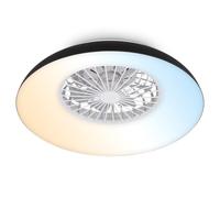 BRILONER - Plafonnier ventilateur de plafond LED avec éclairage, télécommande, moteur DC silencieux à 5 vitesses, CCT et intensité réglable, plafonnier LED ventilateur, salon, 60 cm, noir