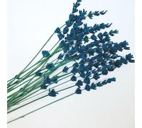 Brin de Lavande Séchée et Stabilisée de Couleur Bleu, Lot de 20 Tiges Fleur Naturelle préservée, Décoration de Table Mariage Artisanat de France (Lavande)