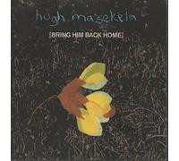 BRING HIM BACK HOME 7" (45) UK WEA 1987 B/W SERENGETI (U8466) PRO STICKER ON REAR OF PIC SLEEVE