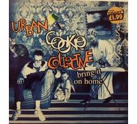 Bring It On Home - Urban Cookie Collective 7" 45