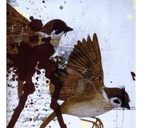 Bring Me the Horizon - This Is What the Edge of