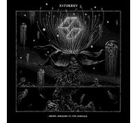 PELAGIC – Vinyle – Bring Mirrors to the Surface