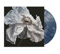 Bring On The Psychics Vinyle Jaune et Noir Marbré