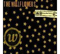 Bringing Down The Horse