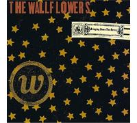 The Wallflowers – Bringing Down the Horse – Vinyle 2 LP