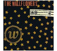 The Wallflowers – Bringing Down the Horse – Vinyle 2 LP