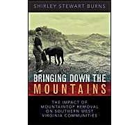 Bringing Down The Mountains