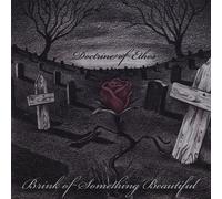 Brink of Something Beautiful - Doctrine of Ethos