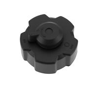 Briny River Bouchon de Réservoir de Carburant Compatible avec Honda Le Générateur EU 1000 EU2000 17620-ZT3-030
