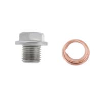 Briny River Bouchon de vidange pour carter d'huile moteur de voiture M12 x 1,25 11128-01M0B compatible avec Nissan Rogue Altima Sentra Kicks