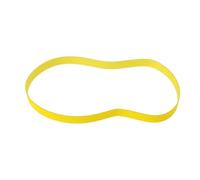Briny River Courroie Plate d'entraînement de Tamis à Tambour 05012119 Compatible avec Scheppach RS350 RS400 460 X 12 Mm