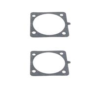 Briny River Joint de Carter de Tronçonneuse (2 Pièces) 98767A Compatible avec Homelite K100 K300 ST-155 ST-165 ST-175 Et ST-185