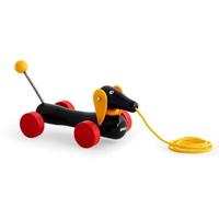 Bri Infant/Preschool Jim Le Teckel