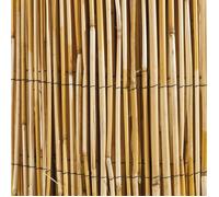 Windhager 06523 Canisse Roseau Naturel Beige 1 x 5 m
