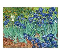 Bristlegrass Casse-tête en bois de 500 pièces pour adultes - Peintures célèbres de Van Gogh - Irises, cadeaux artistiques, objets de collection, peinture décorative (500 pièces)